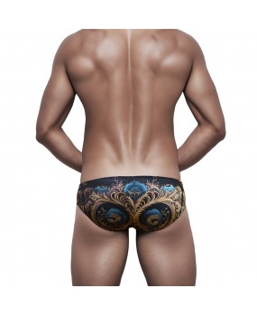 Sexy Swimming Briefs (June 302)