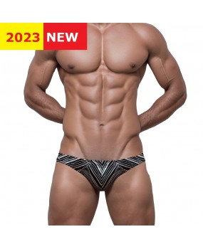 Sexy Swimming Briefs (June 307)
