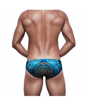 Sexy Swimming Briefs (June 317)