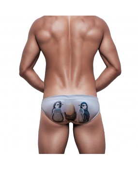Sexy Swimming Briefs (June 324)