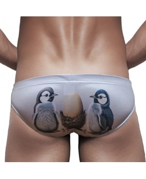 Sexy Swimming Briefs (June 324)