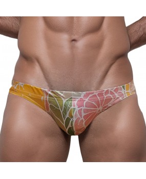 Sexy Swimming Briefs (June 330)