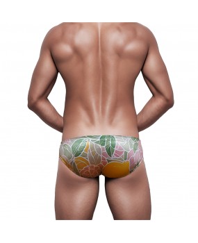 Sexy Swimming Briefs (June 330)