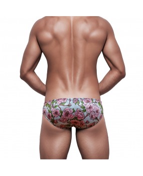 Sexy Swimming Briefs (June 332)