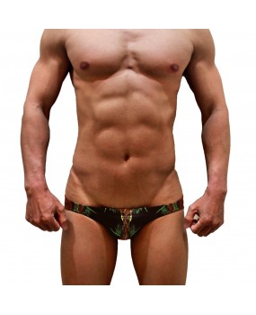 SEXY SWIMMING BRIEFS (580)