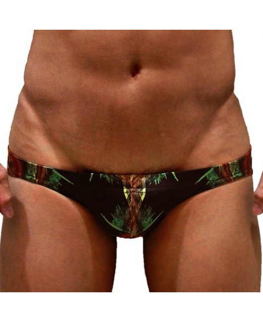 SEXY SWIMMING BRIEFS (580)