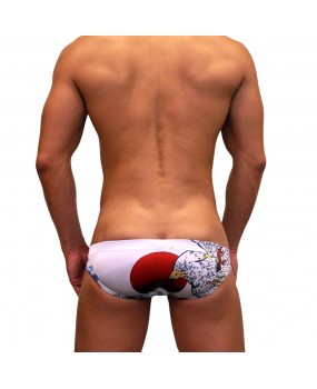 Sexy Swimming Briefs (F031) Japan Special Edition