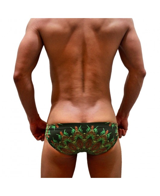 SEXY SWIMMING BRIEFS (580)