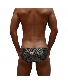 Sexy Swimming Briefs (B005)