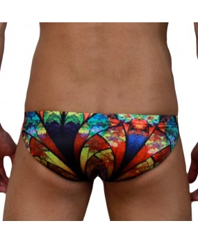 SEXY SWIMMING BRIEFS (555)