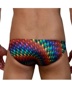 SEXY SWIMMING BRIEFS (562)