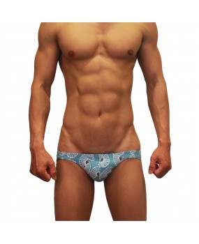 Sexy Swimming Briefs (824)