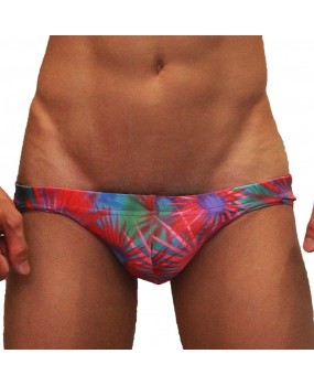 Sexy Swimming Briefs (832)