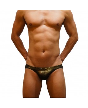Sexy Swimming Briefs (B008)