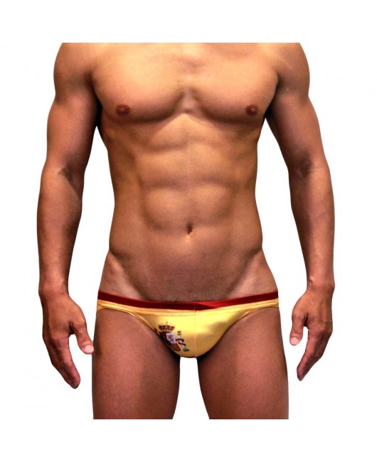 Sexy Swimming Briefs (F011) Spain