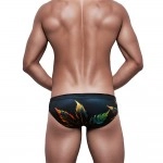 Swimming Briefs 315