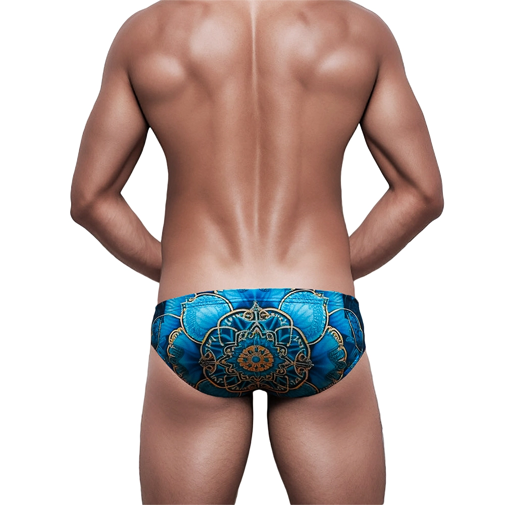 Swimming Briefs 317