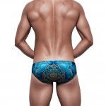Swimming Briefs 317