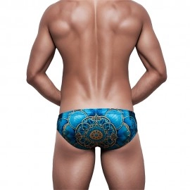 Swimming Briefs 317