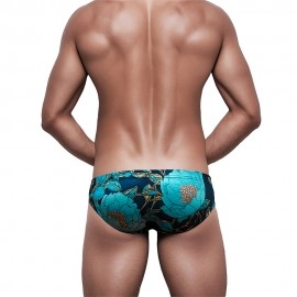 Swimming Briefs 318