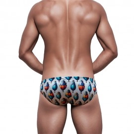 Swimming Briefs 333