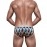 Swimming Briefs 333