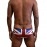 Flags Swimming Briefs 609-UK