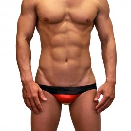 Flags Swimming Briefs F04-Germany