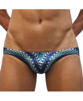 Sexy Swimming Briefs (M003)