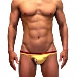 Flags Swimming Briefs F011-Spain