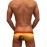 Flags Swimming Briefs F011-Spain