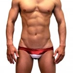 Flags Swimming Briefs F015-Netherlands