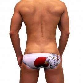Flags Swimming Briefs F31-Japan Dream