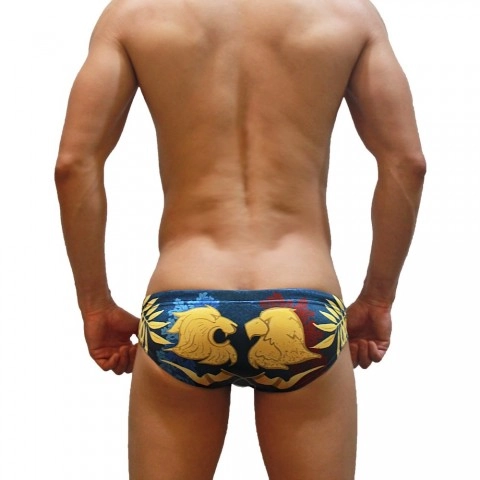 Flags Swimming Briefs F35-Special Edition-France
