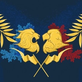 Flags Swimming Briefs F35-Special Edition-France