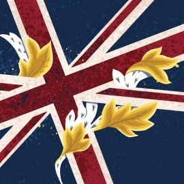 Flags Swimming Briefs F37-Special Edition-UK