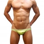 Swimming Briefs 906