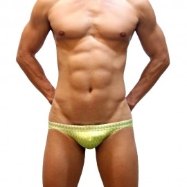 Swimming Briefs 906