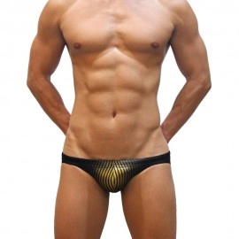 Swimming Briefs 913