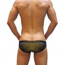 Swimming Briefs 913