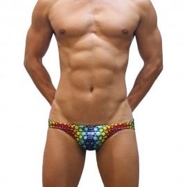 Swimming Briefs 1M004