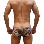 Ukiyo-e Swimming Briefs CAT06