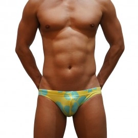 Swimming Briefs A021