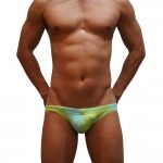 Swimming Briefs A023