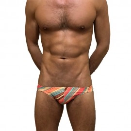 Swimming Briefs A042
