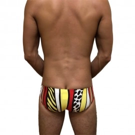 Swimming Briefs A043