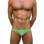 Swimming Briefs A047