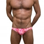 Swimming Briefs A058
