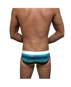 Sexy Swimming Briefs (T004)