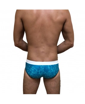 Sexy Swimming Briefs (T005)